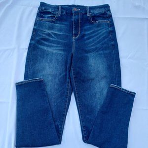 American Eagle Next Level Dark Wash Curvy Hi-Rise Jegging Size 10